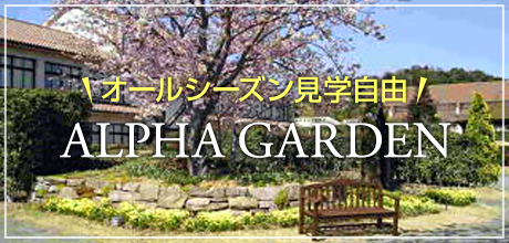 ALPHA GARDEN