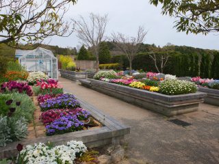 園芸療法ガーデン