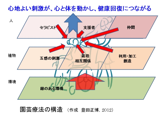 園芸療法の構造