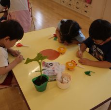 植えたい野菜を作ったよ