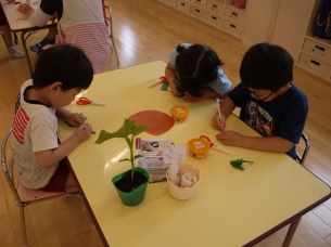 植えたい野菜を作ったよ