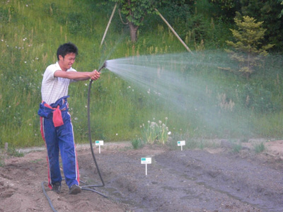 水やりも全力です！