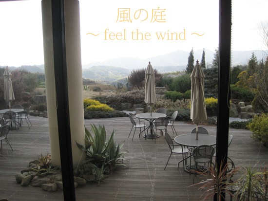 『風の庭 ～feel the wind～』