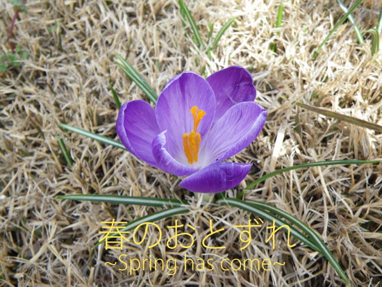 『春のおとずれ ～Spring has come～』