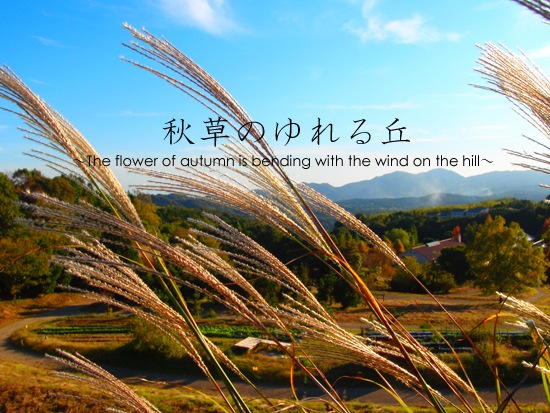 『秋の訪れ～Feel the cool wind of autumn～ ～』