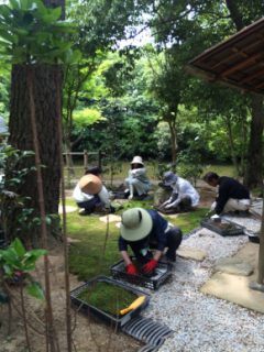 伊弉諾神宮の明日庵で植栽イベントを開催しました