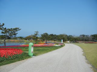 国営海の中道海浜公園のユニバーサルデザインの取り組み