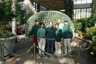 Longwood Gardensにて菊展示の実習（日本からの研修生）