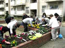 草ひき・花殻つみ・水やり・仕切りつくり（飾り石設置）