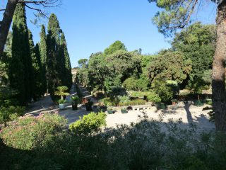 フランス最古の植物園であるモンペリエ大学植物園
