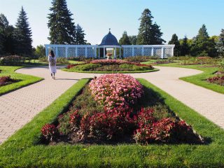 Rose Garden